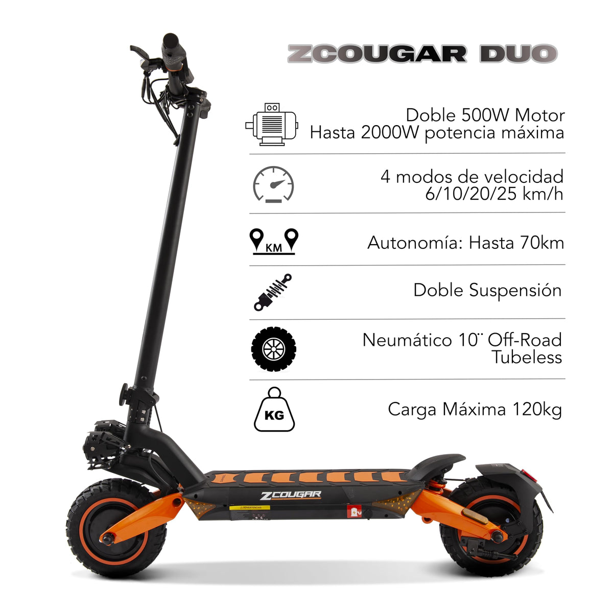 ZWHEEL ZCougar Duo || Ecosmart Riders™